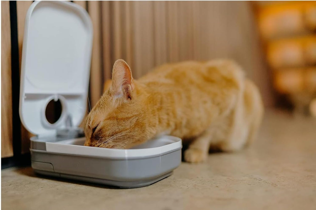 Cat Mate C100 Single Meal Automatic Timer-Controlled Pet Feeder - Suitable for Cats and Small Dogs, for Wet or Dry Food, up to 0.88 lb Capacity, White