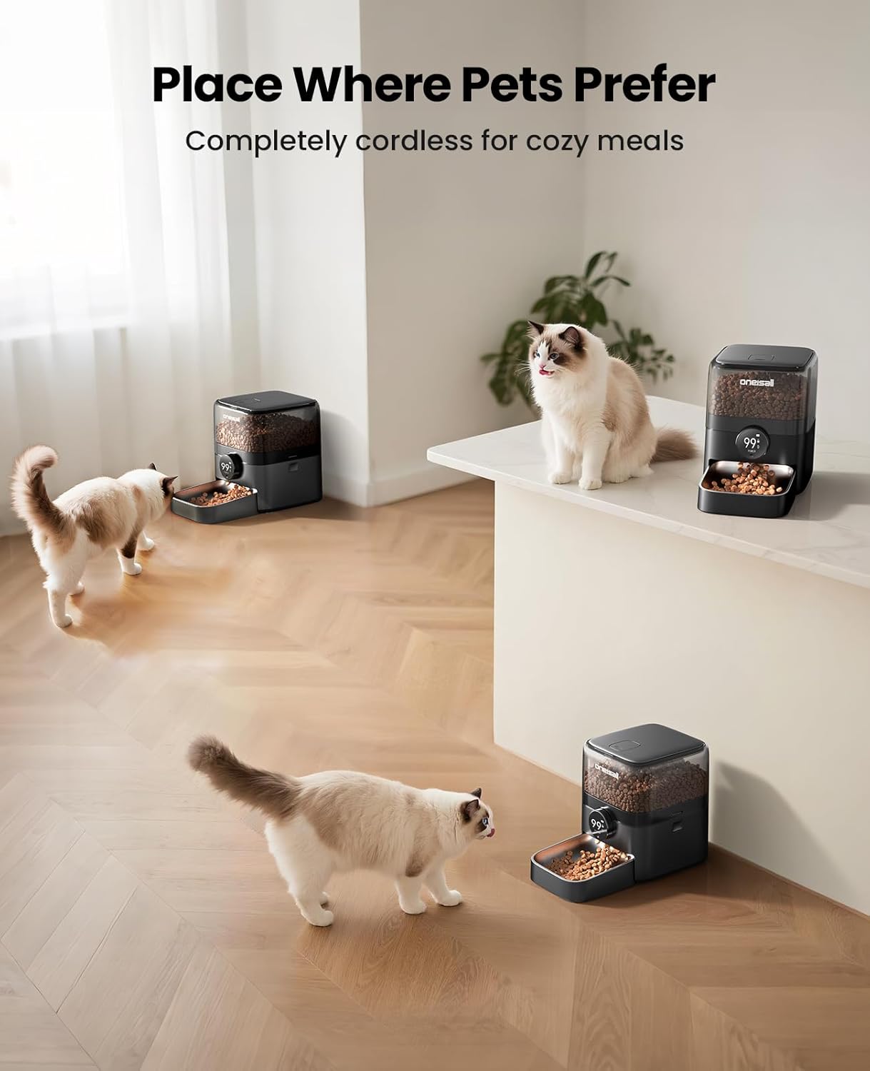 oneisall Automatic Cat Feeder, WiFi Rechargeable 100-Day Battery Operated Pet Feeder, 12 Cups/3L Dry Food Dispenser for Large Kibble, Smart App Control (Black)