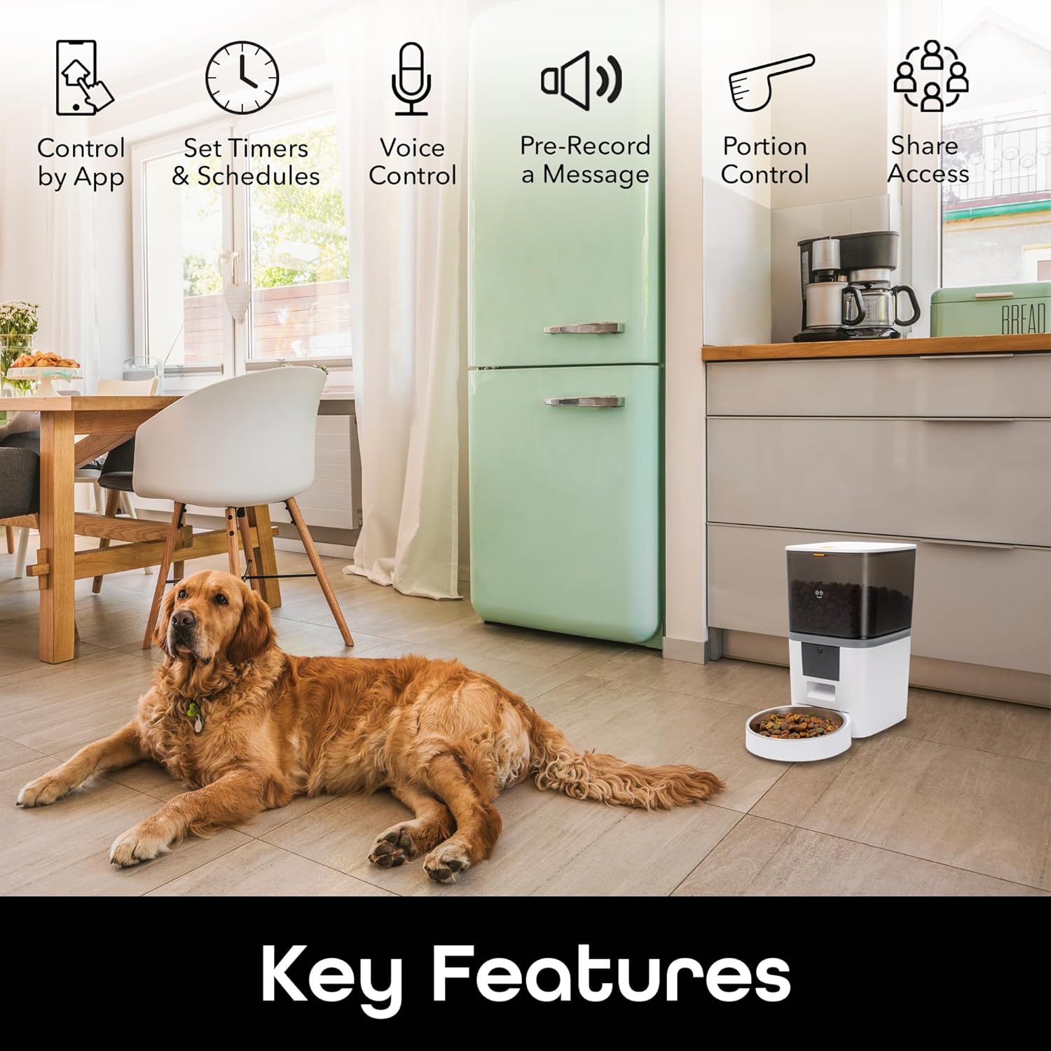 Geeni 6L Smart Pet Feeder - Automatic Cat and Dog Food Dispenser, WiFi Control, Voice Recorder, Battery Backup, Large Capacity, Portion Control - White